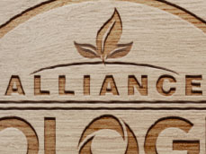 Alliance Biologics Logo Design