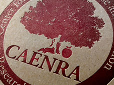 CAENRA - Center for Advancing Exercise and Nutrition Research on Aging Logo Design